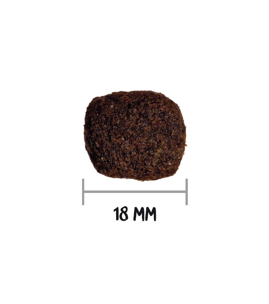 Ownat GF Hypo Agneau – Image 2