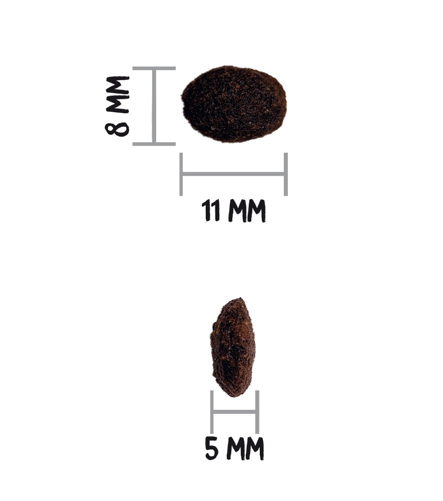 Ownat GF Prime Cat soins poils et peau – Image 2