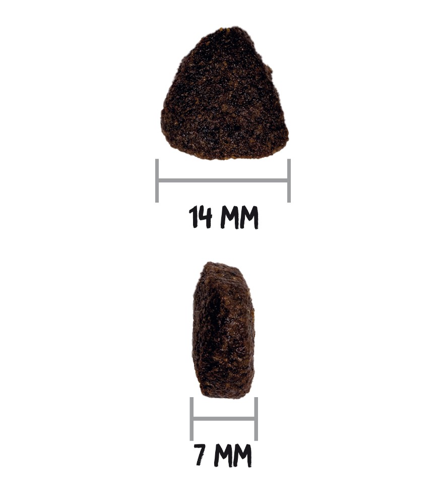 Ownat GF Just Saumon – Image 2