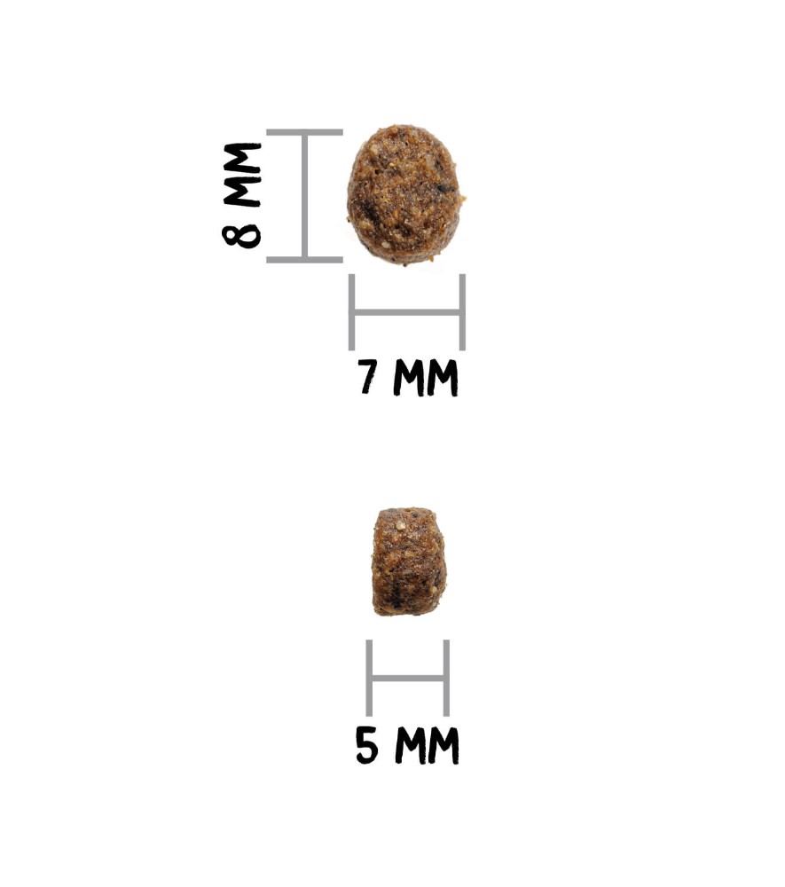 Ownat GF Just Cat Stérilisé Poissons – Image 2