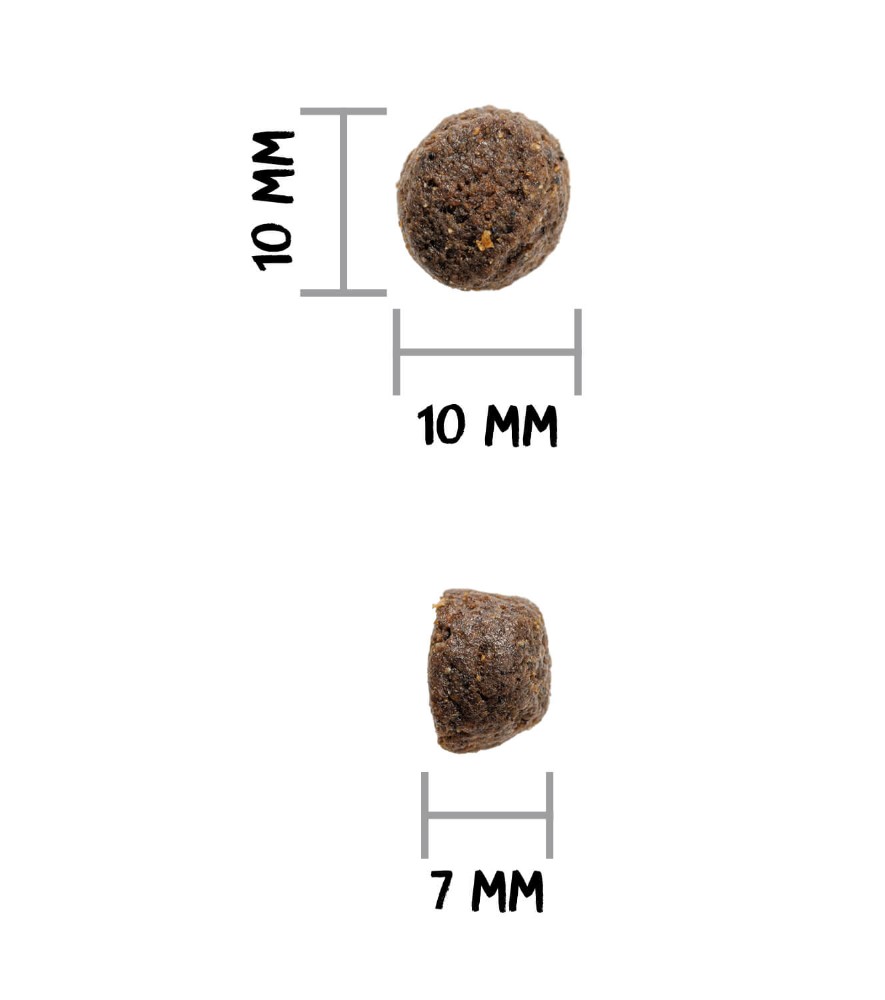 Ownat GF Prime Poissons – Image 2